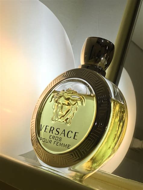 pixabay damesgeur versace|Versace clothing line.